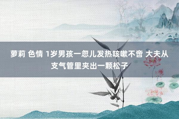 萝莉 色情 1岁男孩一忽儿发热咳嗽不啻 大夫从支气管里夹出一颗松子