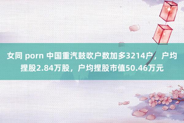 女同 porn 中国重汽鼓吹户数加多3214户，户均捏股2.84万股，户均捏股市值50.46万元