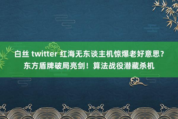 白丝 twitter 红海无东谈主机惊爆老好意思？东方盾牌破局亮剑！算法战役潜藏杀机