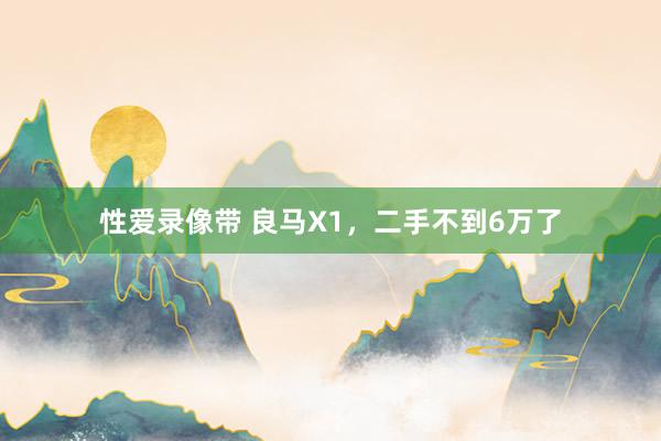 性爱录像带 良马X1，二手不到6万了