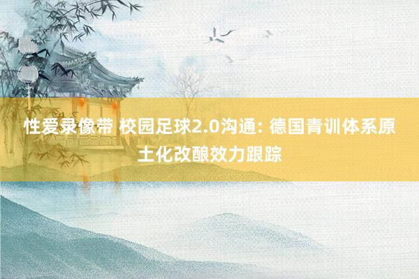 性爱录像带 校园足球2.0沟通: 德国青训体系原土化改酿效力跟踪