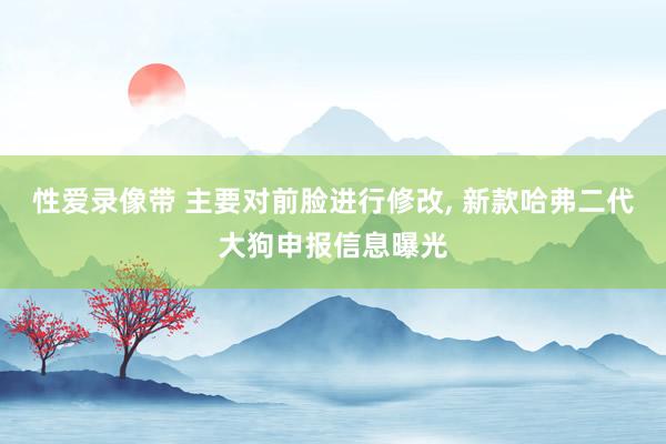 性爱录像带 主要对前脸进行修改， 新款哈弗二代大狗申报信息曝光