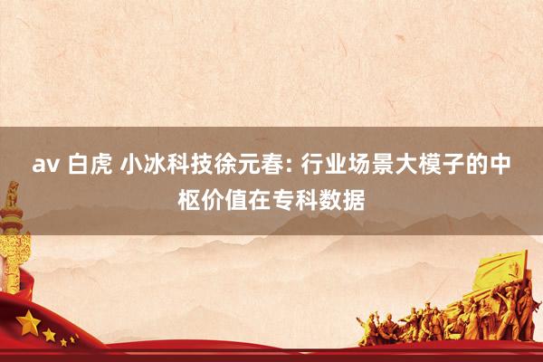 av 白虎 小冰科技徐元春: 行业场景大模子的中枢价值在专科数据