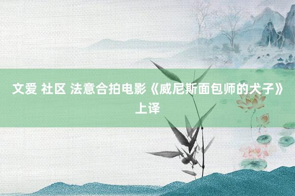 文爱 社区 法意合拍电影《威尼斯面包师的犬子》上译